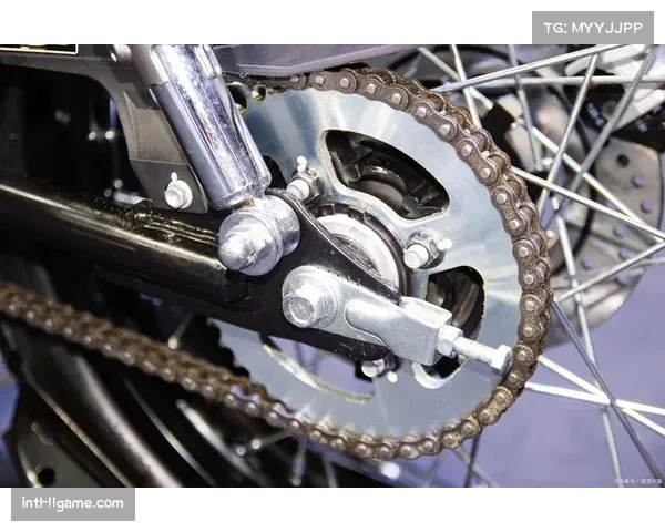 骑行装备消费从硬件向服务延伸：全链条专业服务成为市场新增长点